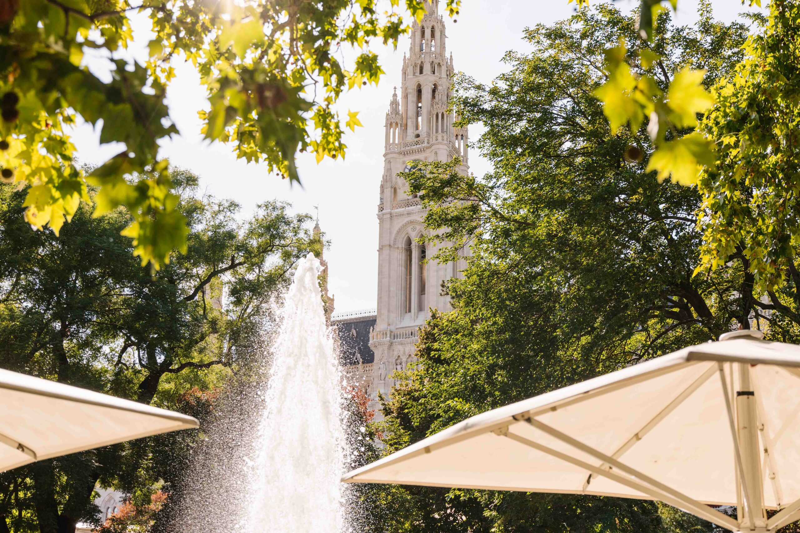 Blick auf den Rathausturm im Vordergrund ein Springbrunnen und Bäume